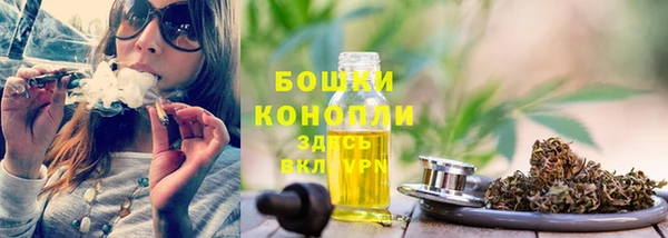 винт Гусь-Хрустальный