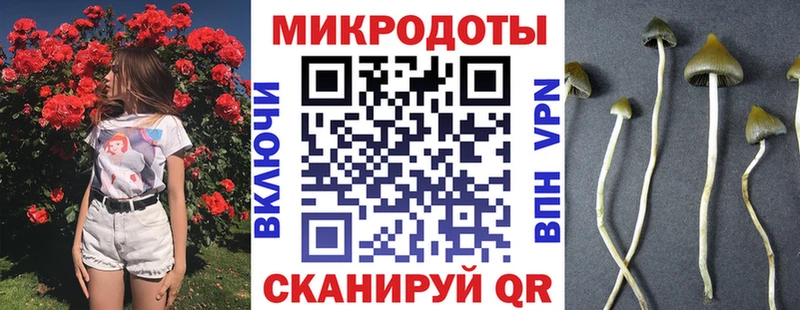 Псилоцибиновые грибы Cubensis  Горняк 